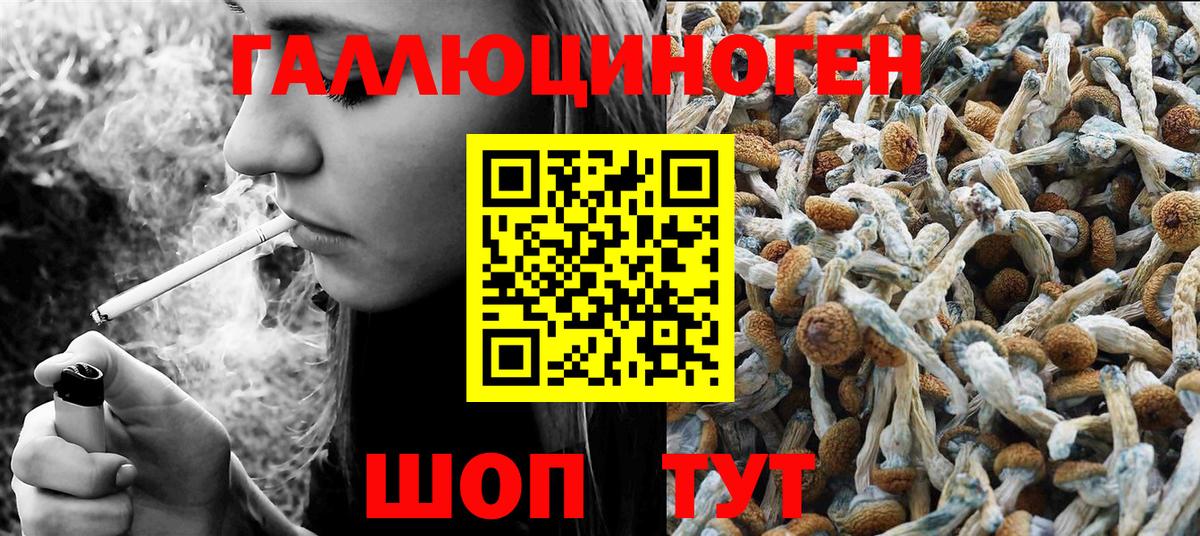 Галлюциногенные грибы мухоморы  Вход с VPN  Псилоцибиновые грибы прущие грибы  Кунгур 